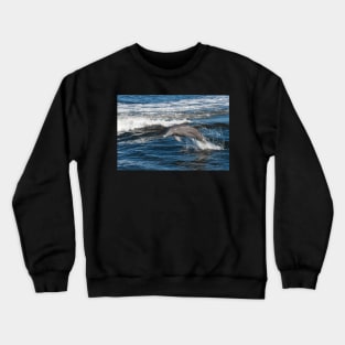 Dolphin Love Crewneck Sweatshirt